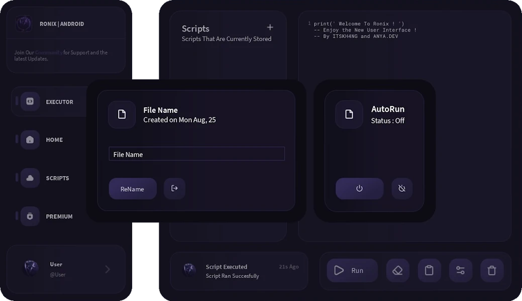 Ronix android interface
